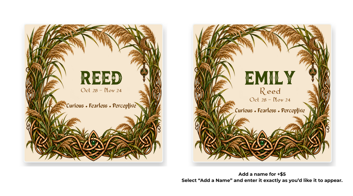Reed Celtic Tree Zodiac coaster shown in standard and personalized versions.